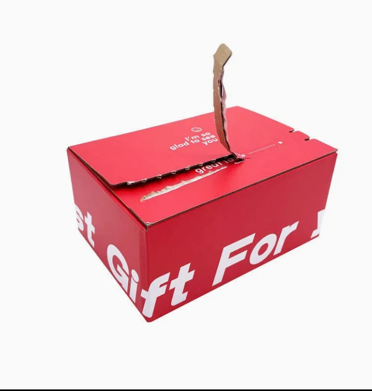 Customize Eco Quick Self Seal Postal Zipper Packaging Mailer Boxes Zip Adhesive Tear Strips Airplane Shipping Boxes